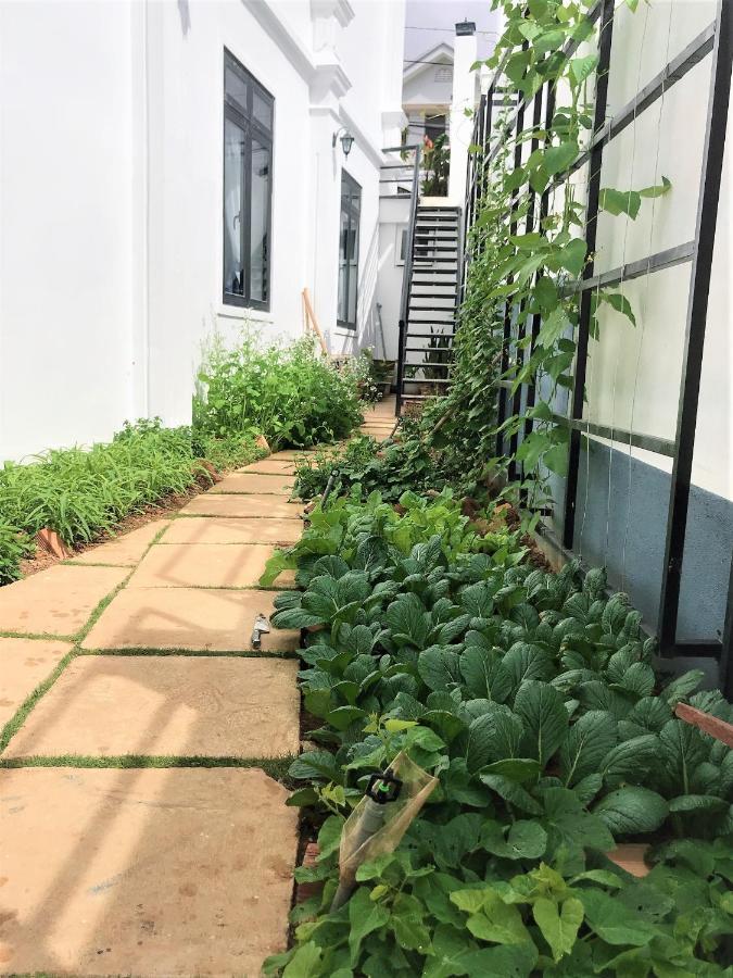 Duong Xua Villa Da Lat Zewnętrze zdjęcie