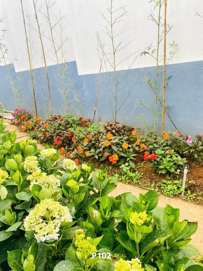 Duong Xua Villa Da Lat Zewnętrze zdjęcie